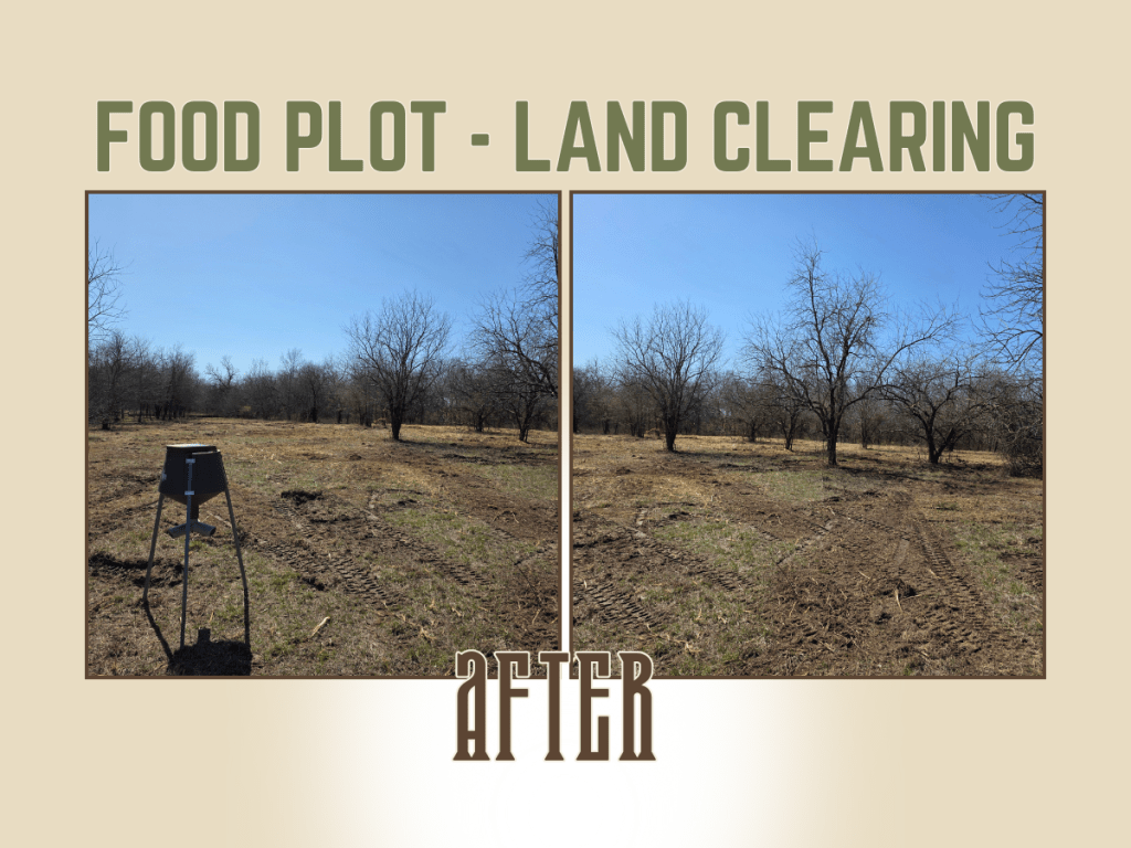 Maximizing Your Deer Food Plot with Oklahoma Land Clearing&nbsp;Services