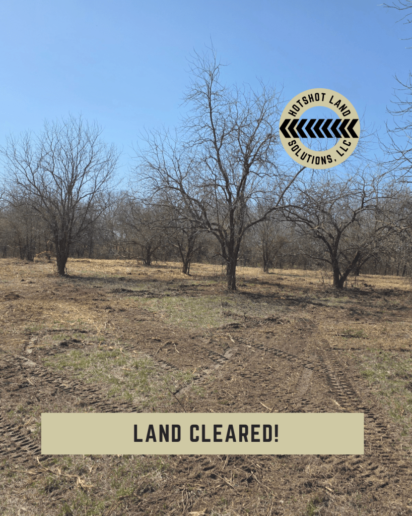 Reliable Land Clearing Contractors Near Me - After Photo of Land Clearing